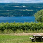 Finger Lakes Wine Country Keeps Juice Flowing