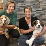 Trending: Pets in the Workplace